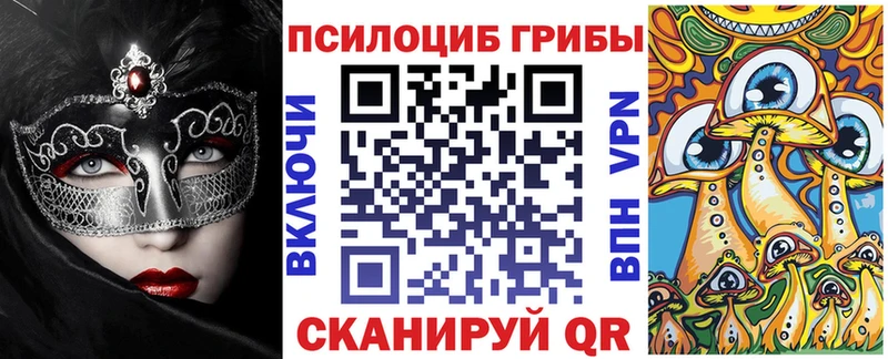 где продают наркотики это какой сайт Галлюциногенные грибы Psilocybine cubensis Сусуман МЕГА вход